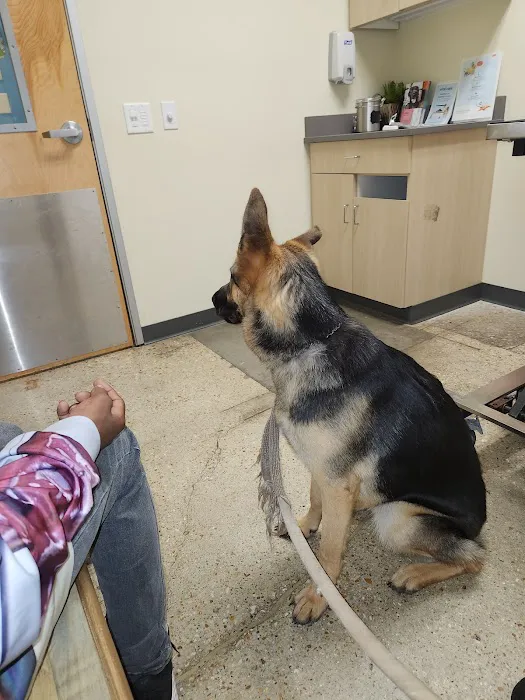 Petco 4