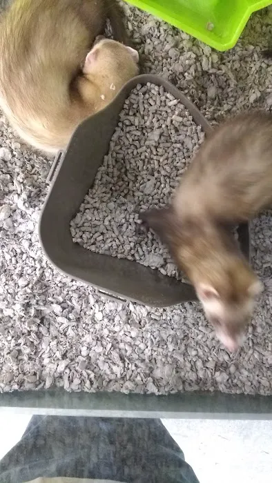 Petco 9