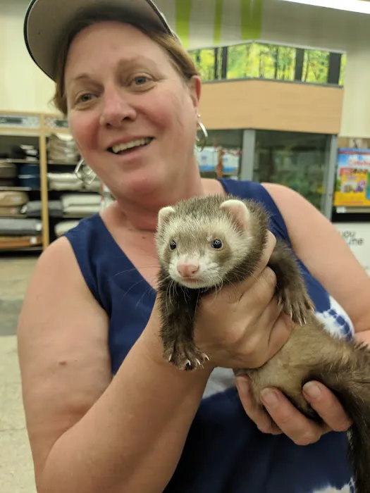 Petco 3