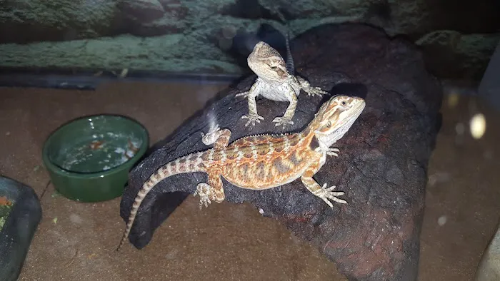 Petco 6