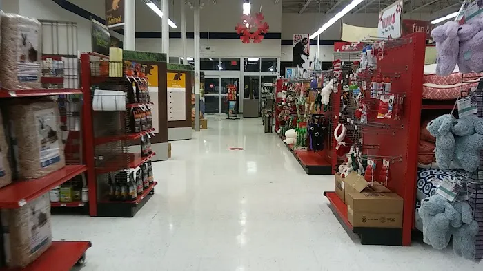 Petco 3