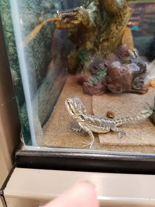 Petco 10