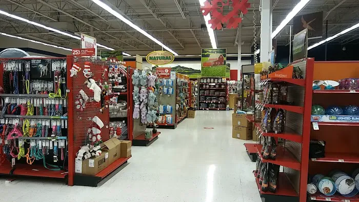 Petco 2