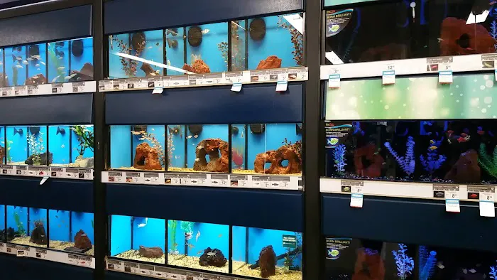 Petco 3