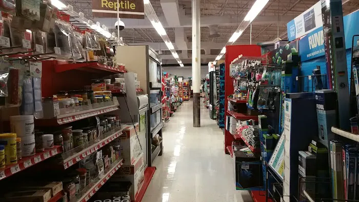 Petco 4