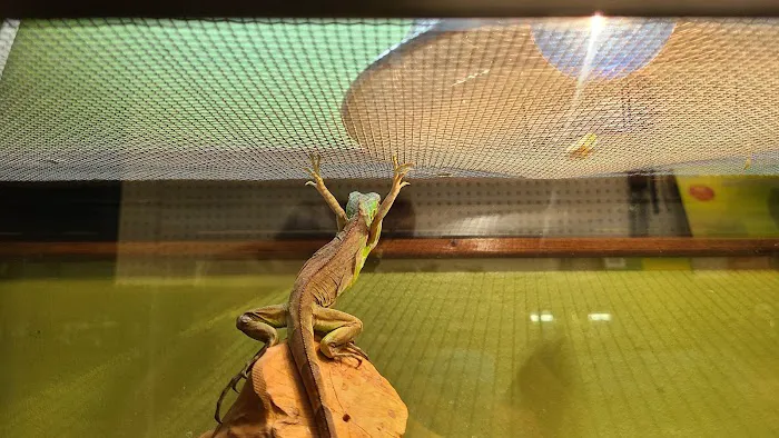 J & F Aquatics Exotics 3