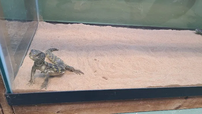 J & F Aquatics Exotics 9