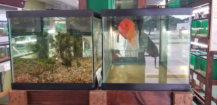 J & F Aquatics Exotics 1