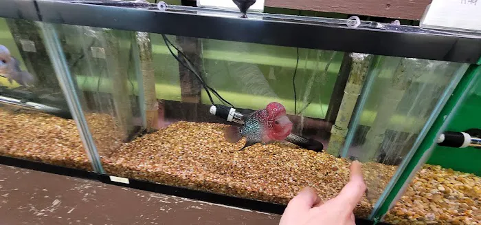 J & F Aquatics Exotics 6