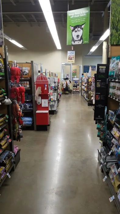 Petco 2