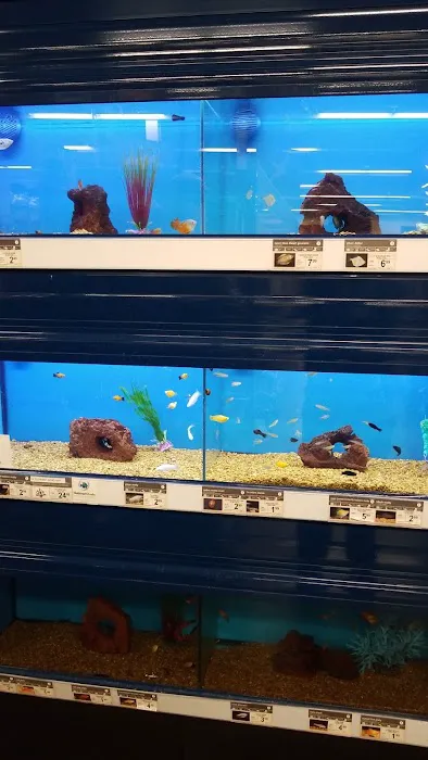 Petco 1