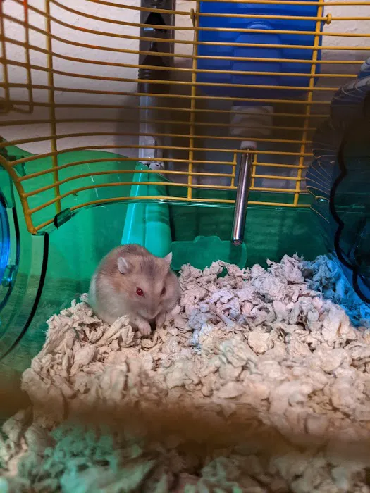 Coral Reef Pet Shop 9