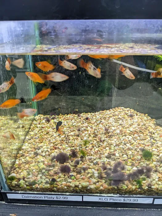 Coral Reef Pet Shop 2