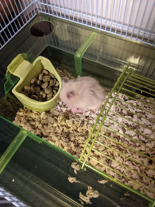 Coral Reef Pet Shop 1