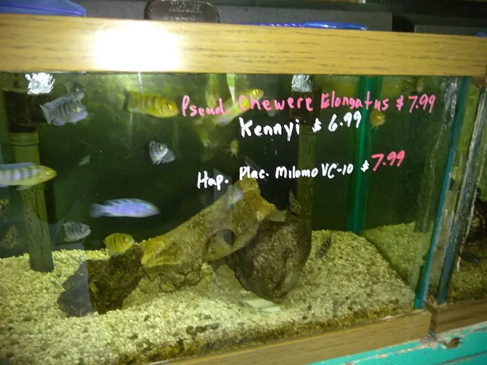 Causeway Pets 7