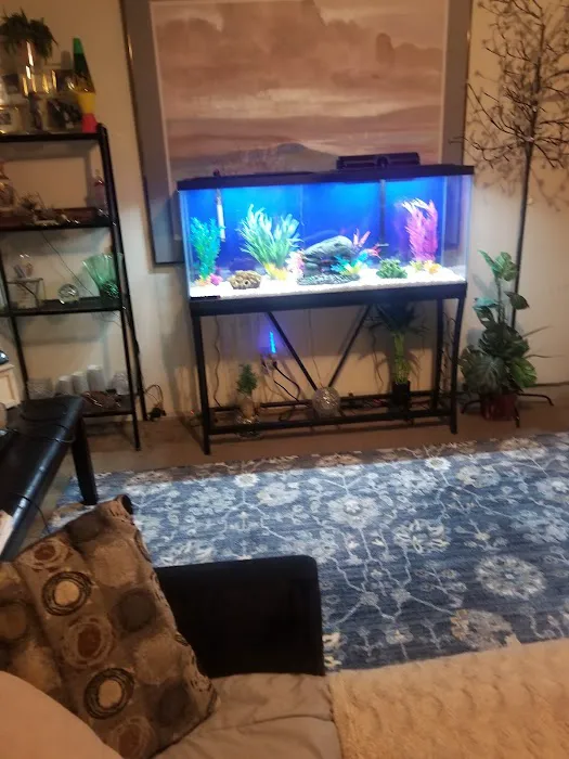 Causeway Pets 2