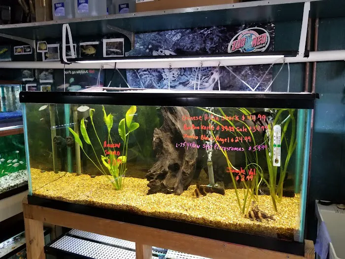 Causeway Pets 1