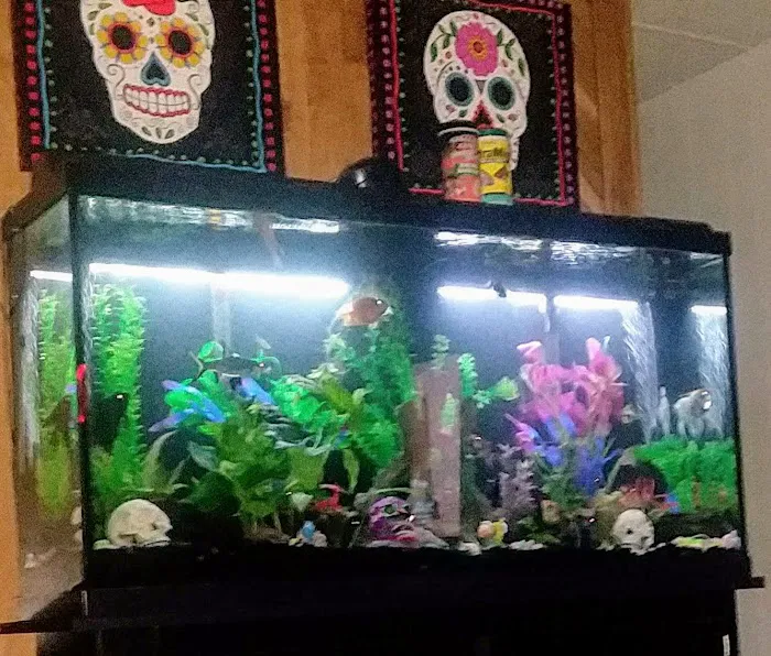 Causeway Pets 5