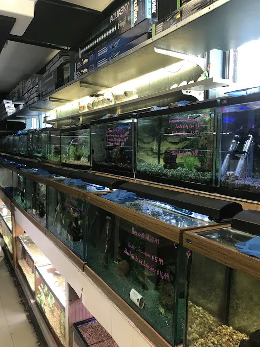 Causeway Pets 3