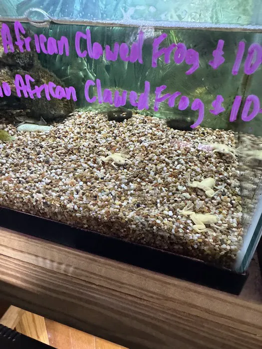 Causeway Pets 6