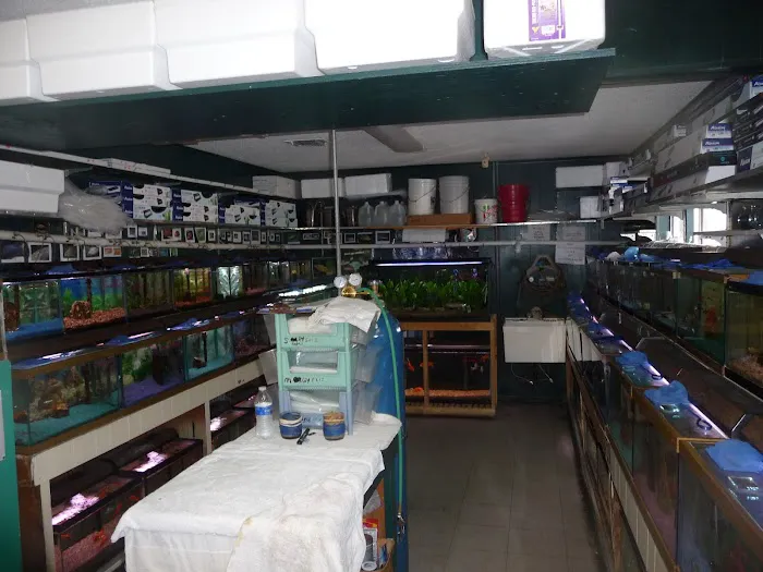 Causeway Pets 9