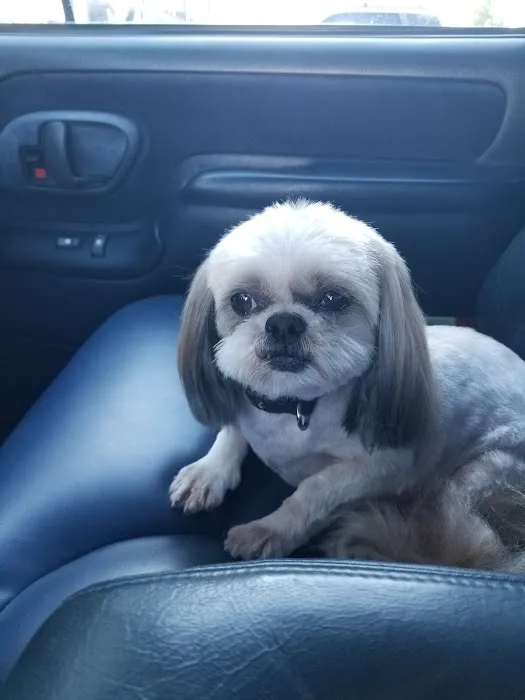 Petco 5