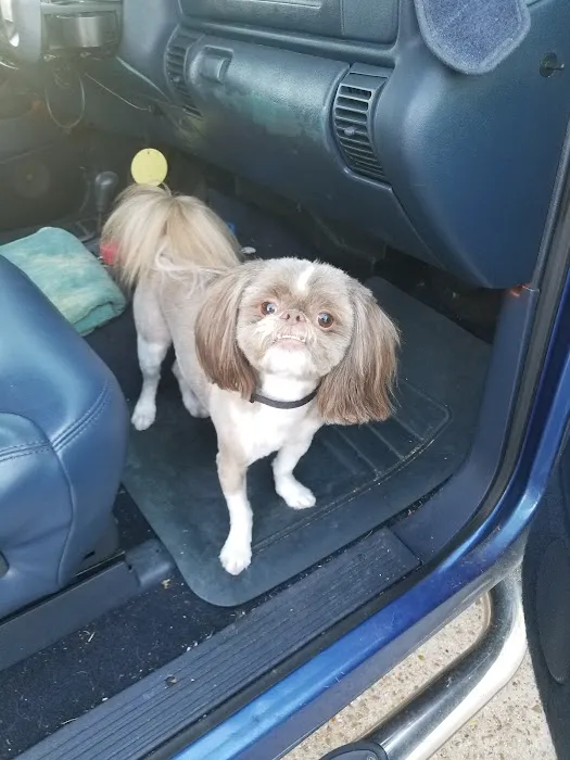Petco 4