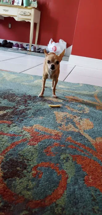 Petco 1