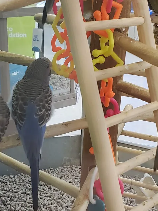 Petco 6