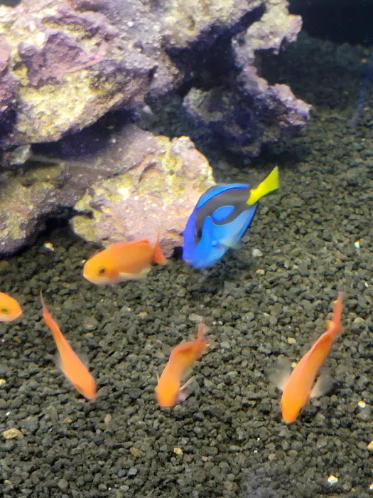 Reef Consortium 5
