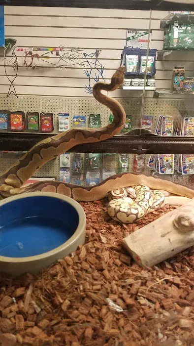 50 Fathoms Pet Shop 2