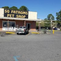 50 Fathoms Pet Shop ico