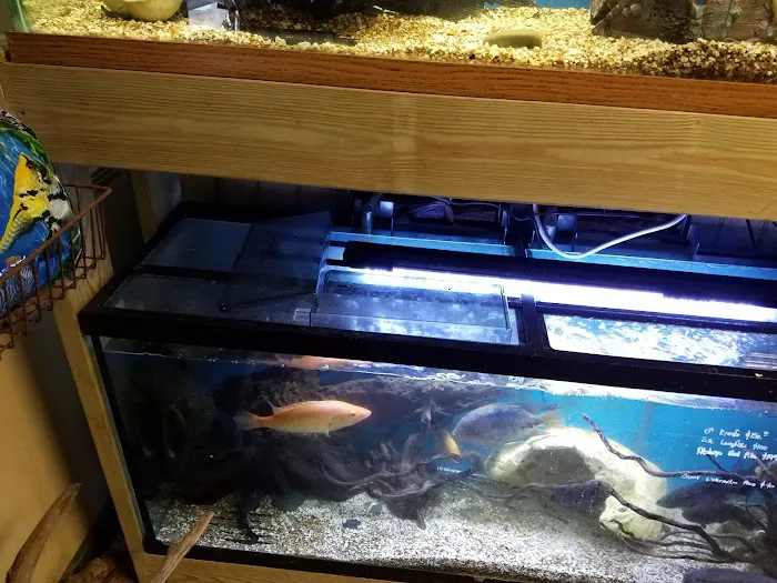 50 Fathoms Pet Shop 4