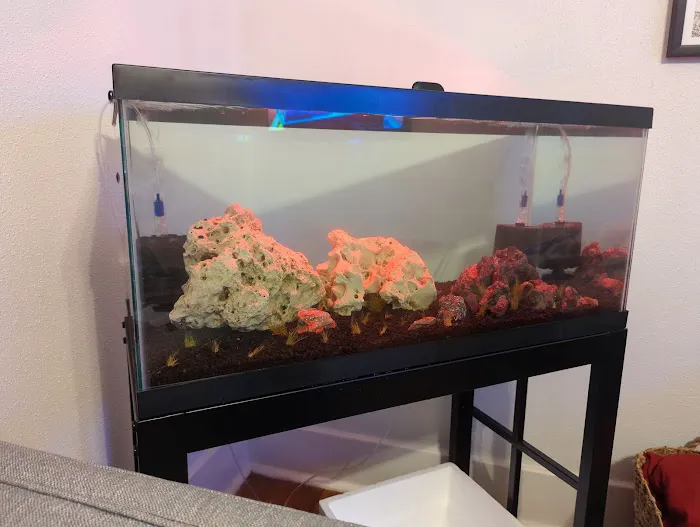50 Fathoms Pet Shop 6