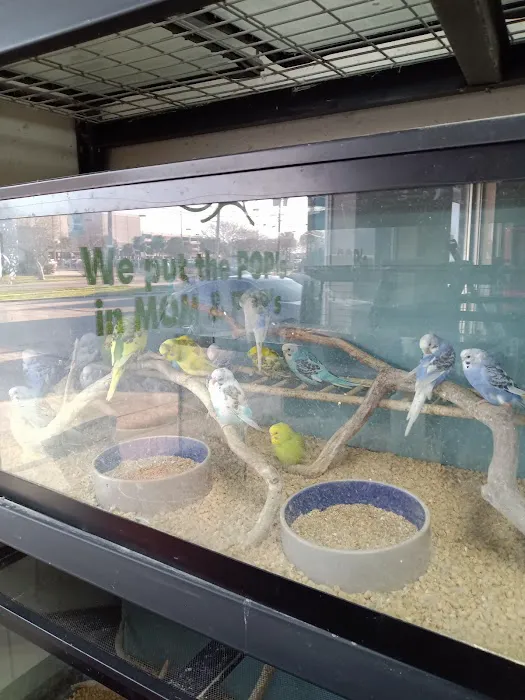50 Fathoms Pet Shop 5