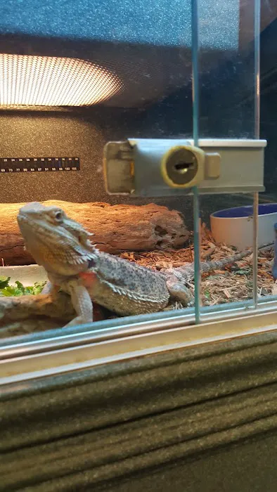 50 Fathoms Pet Shop 8
