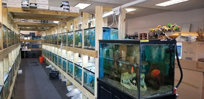 50 Fathoms Pet Shop 7
