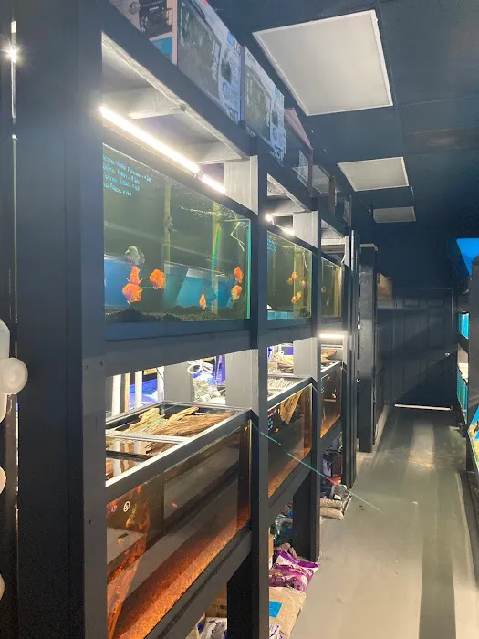 Aquatic Fish & Pets 4
