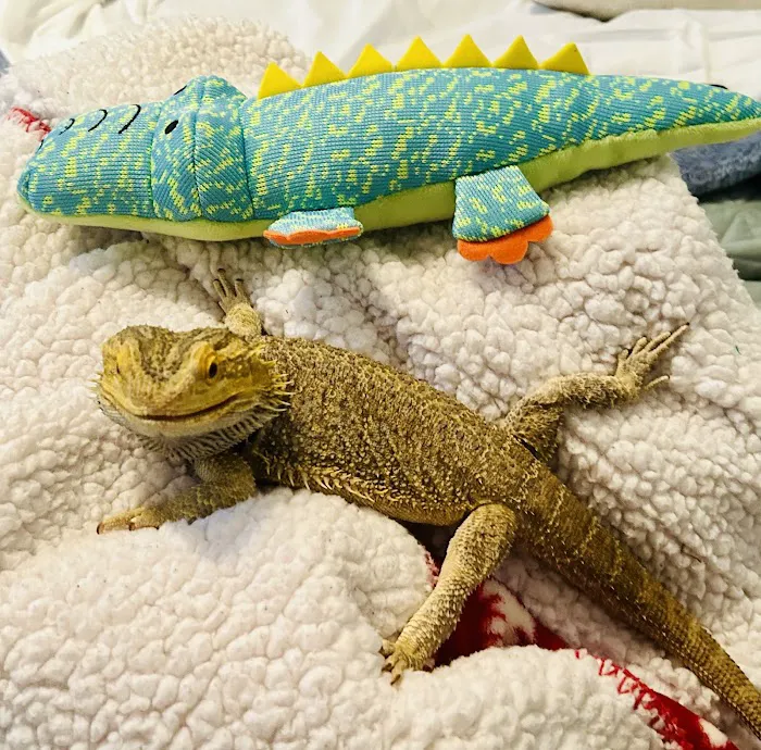 Aquatic Fish & Pets 3