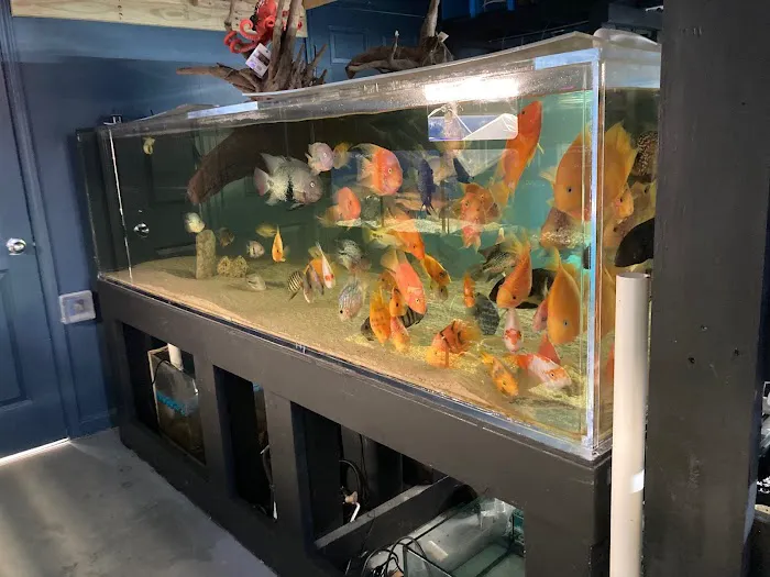 Aquatic Fish & Pets 1