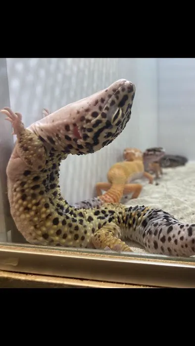 Aquatic Fish & Pets 7