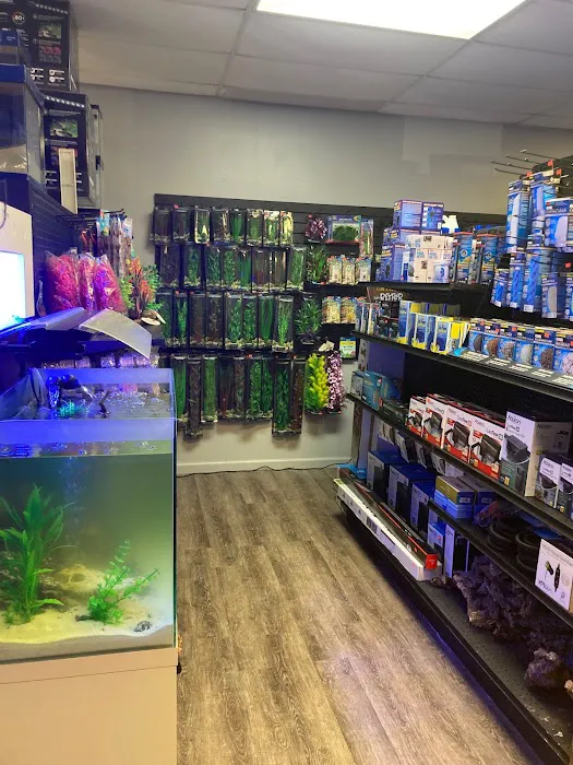 Aquatic Fish & Pets 10