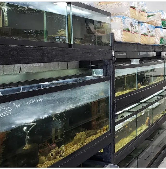 N.O. East Pet Supply 6