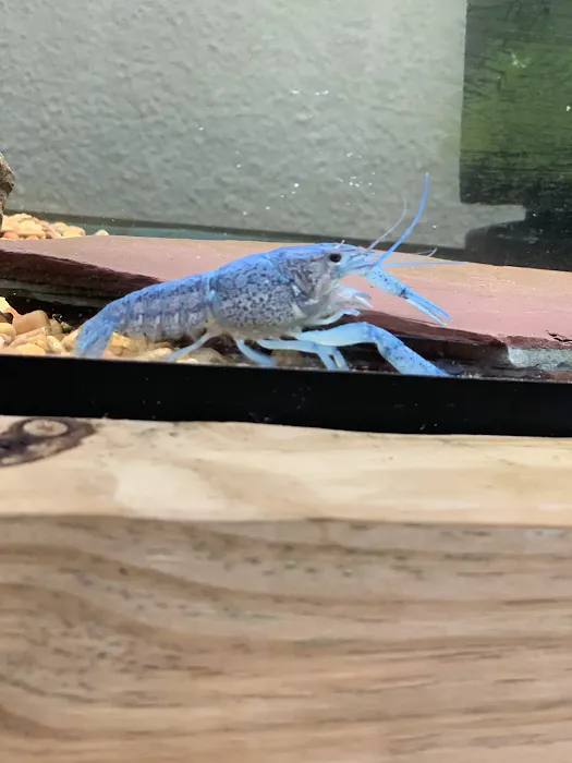 N.O. East Pet Supply 10