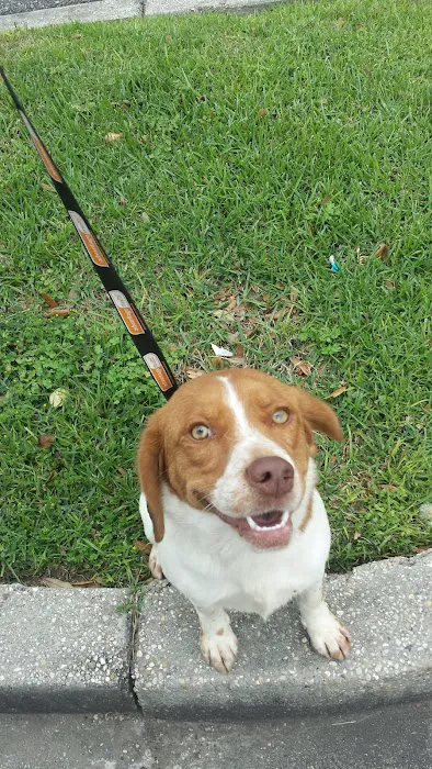 Petco 9