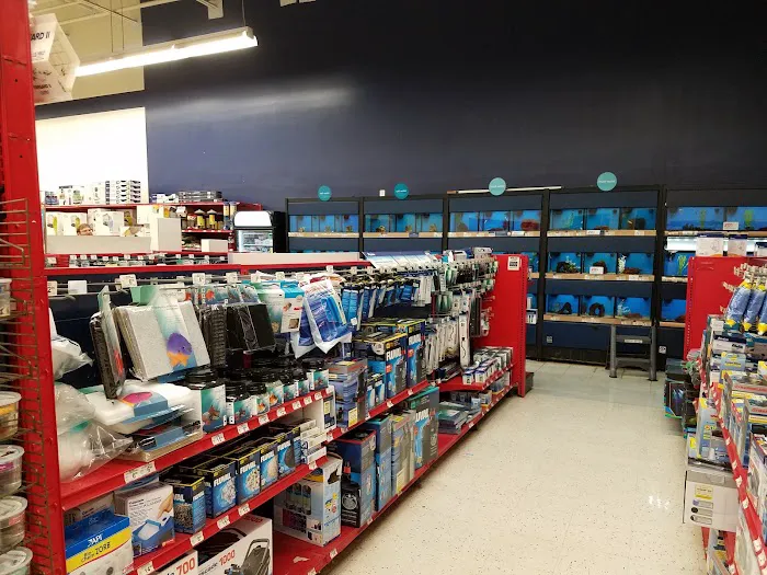 Petco 10