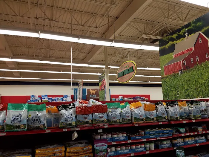 Petco 6