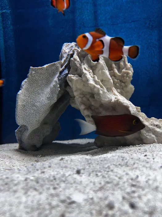 Aquatic Specialties,Inc. 7