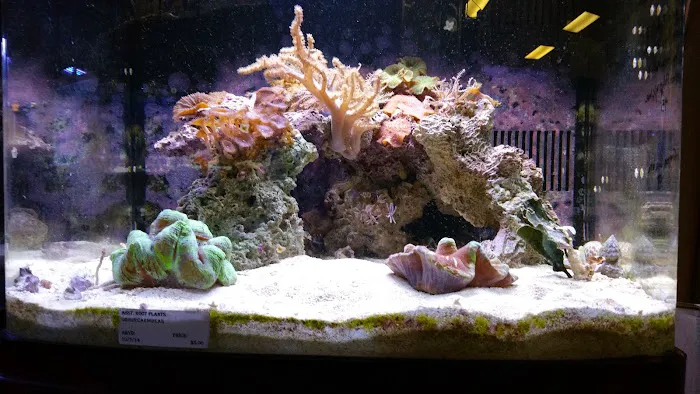 Aquatic Specialties,Inc. 1