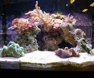 Aquatic Specialties,Inc.